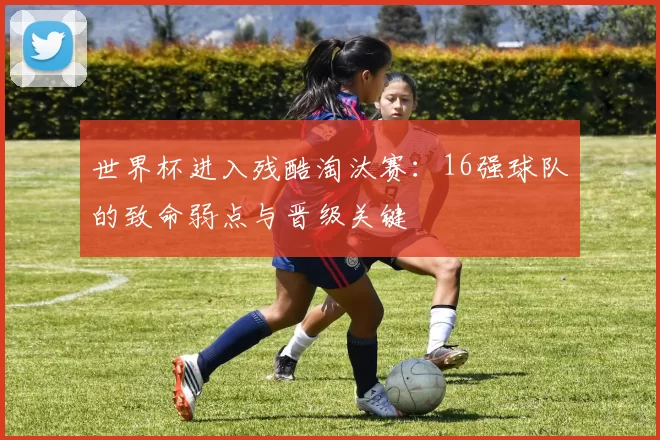 世界杯进入残酷淘汰赛:16强球队的致命弱点与晋级关键