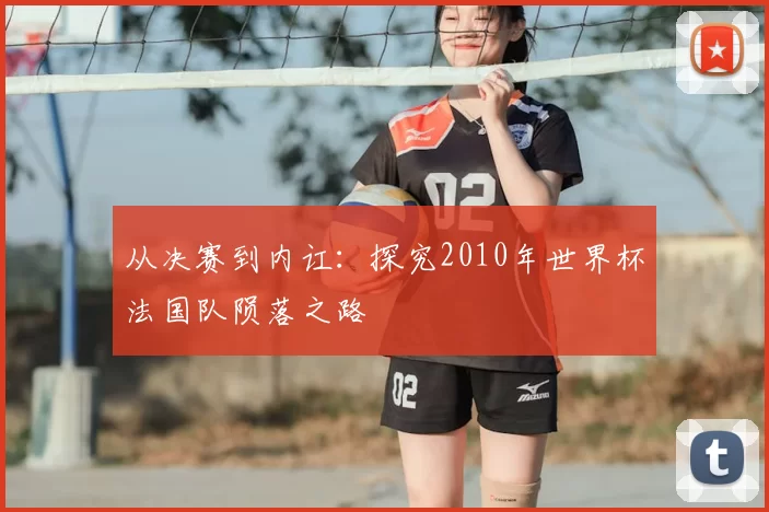 从决赛到内讧：探究2010年世界杯法国队陨落之路