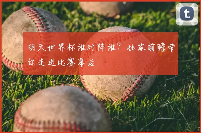 明天世界杯谁对阵谁？独家前瞻带你走进比赛幕后