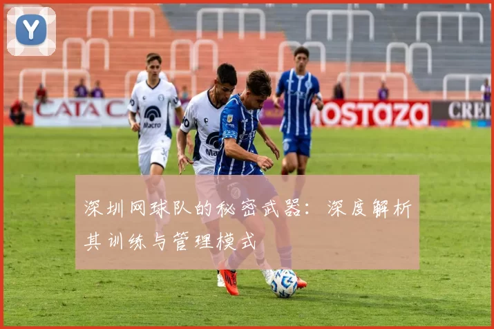 深圳网球队的秘密武器：深度解析其训练与管理模式