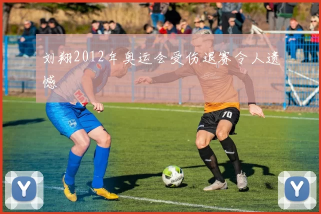 刘翔2012年奥运会受伤退赛令人遗憾