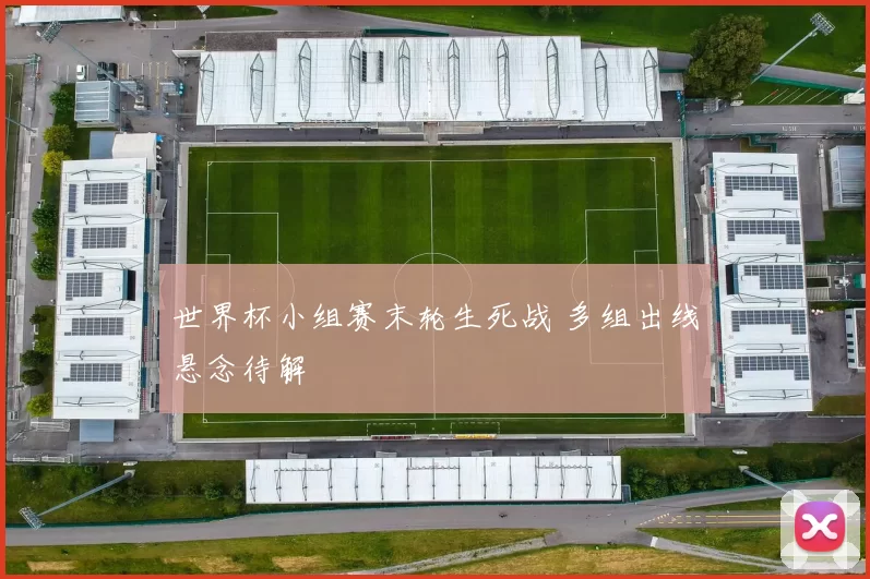 世界杯小组赛末轮生死战 多组出线悬念待解