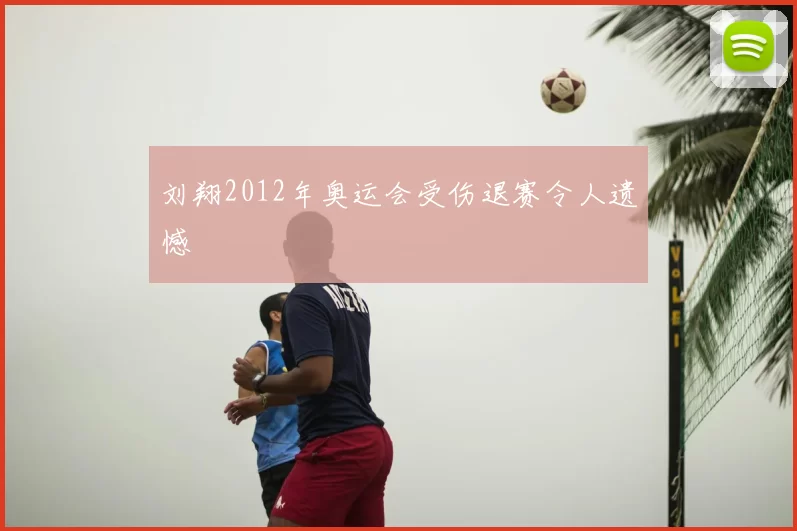 刘翔2012年奥运会受伤退赛令人遗憾