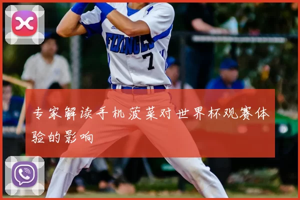 专家解读手机菠菜对世界杯观赛体验的影响