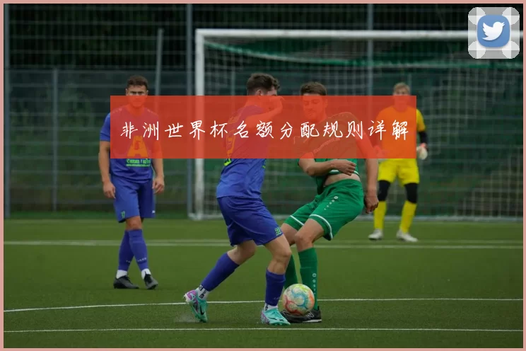 非洲世界杯名额分配规则详解