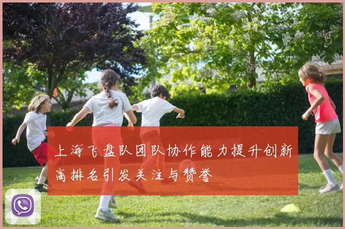 上海飞盘队团队协作能力提升创新高排名引发关注与赞誉