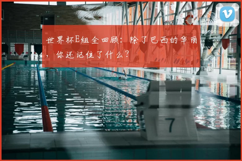 世界杯E组全回顾:除了巴西的华丽,你还记住了什么?