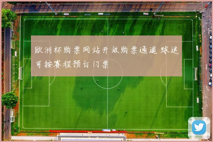 欧洲杯购票网站开放购票通道 球迷可按赛程预订门票
