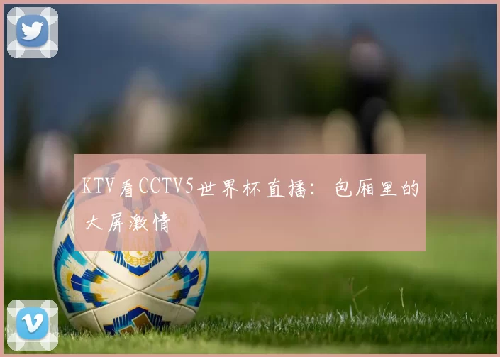 KTV看CCTV5世界杯直播:包厢里的大屏激情