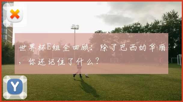 世界杯E组全回顾:除了巴西的华丽,你还记住了什么?