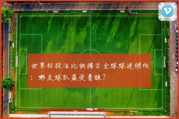 世界杯投注比例揭示全球球迷倾向：哪支球队最受青睐？