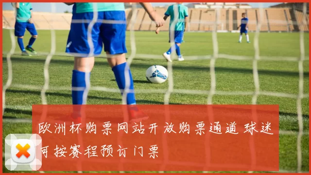 欧洲杯购票网站开放购票通道 球迷可按赛程预订门票